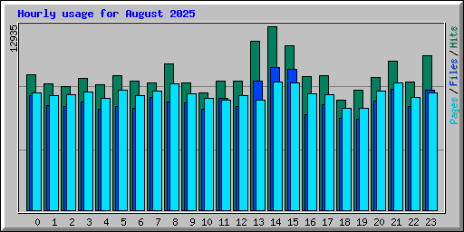 Hourly usage for August 2025