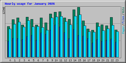 Hourly usage for January 2026